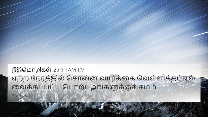 நீதிமொழிகள் 25:11 TAMIRV Bible Verse Image