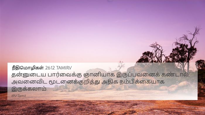நீதிமொழிகள் 26:12 TAMIRV Bible Verse Image