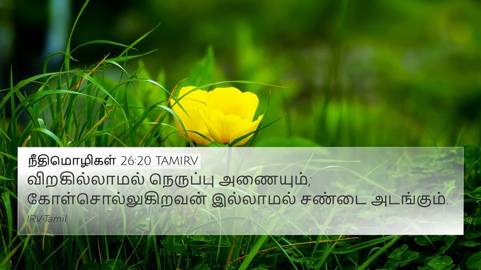 நீதிமொழிகள் 26:20 TAMIRV Bible Verse Image