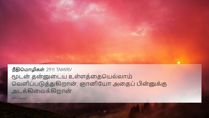 நீதிமொழிகள் 29:11 TAMIRV Bible Verse Image