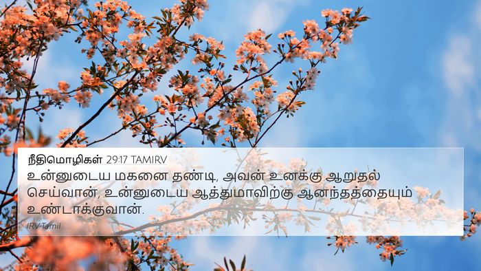 நீதிமொழிகள் 29:17 TAMIRV Bible Verse Image