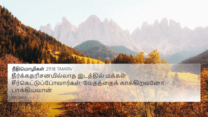 நீதிமொழிகள் 29:18 TAMIRV Bible Verse Image