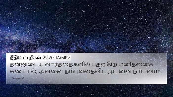 நீதிமொழிகள் 29:20 TAMIRV Bible Verse Image
