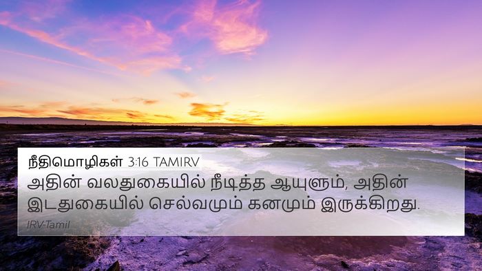 நீதிமொழிகள் 3:16 TAMIRV Bible Verse Image
