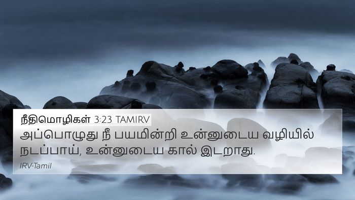 நீதிமொழிகள் 3:23 TAMIRV Bible Verse Image