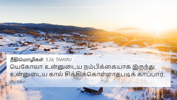 நீதிமொழிகள் 3:26 TAMIRV Bible Verse Image