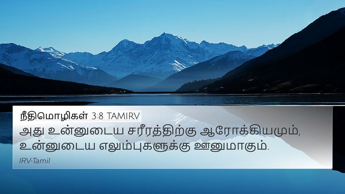 நீதிமொழிகள் 3:8 TAMIRV Bible Verse Image