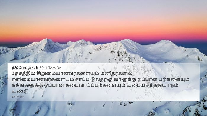 நீதிமொழிகள் 30:14 TAMIRV Bible Verse Image