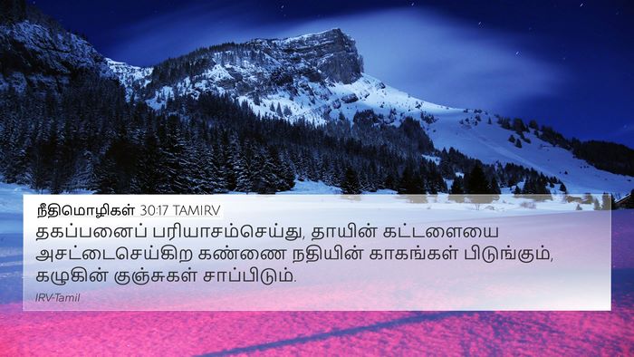 நீதிமொழிகள் 30:17 TAMIRV Bible Verse Image
