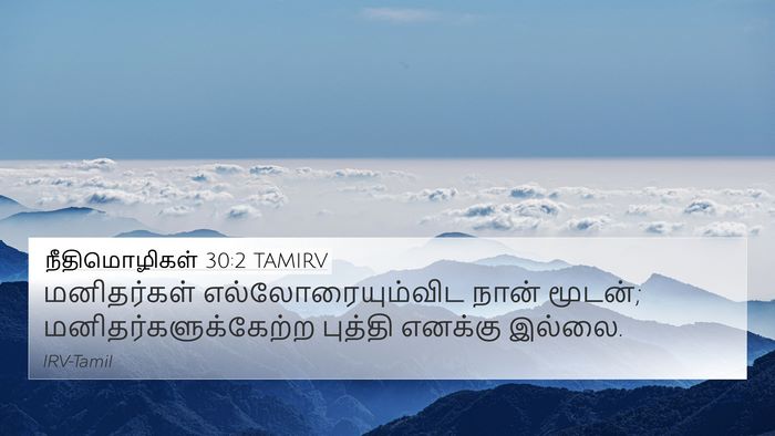நீதிமொழிகள் 30:2 TAMIRV Bible Verse Image