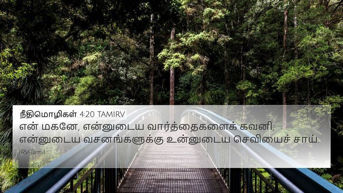 நீதிமொழிகள் 4:20 TAMIRV Bible Verse Image