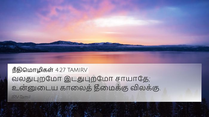 நீதிமொழிகள் 4:27 TAMIRV Bible Verse Image
