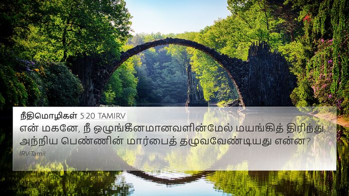 நீதிமொழிகள் 5:20 TAMIRV Bible Verse Image