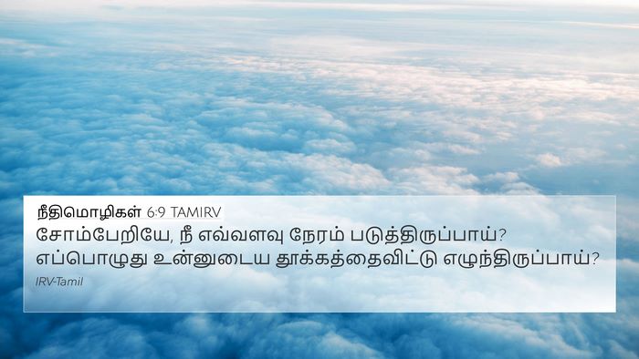 நீதிமொழிகள் 6:9 TAMIRV Bible Verse Image