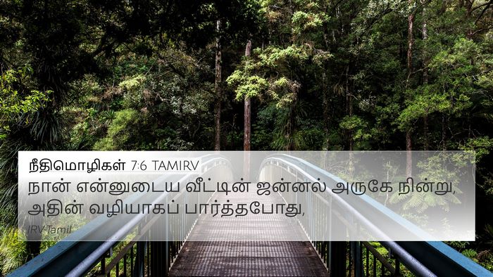 நீதிமொழிகள் 7:6 TAMIRV 4K Wallpaper - நான் என்னுடைய - 4K Wallpaper Bible Verse