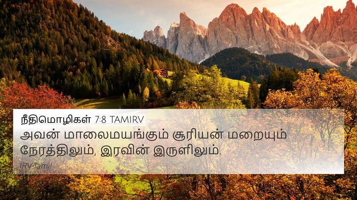 நீதிமொழிகள் 7:8 TAMIRV 4K Wallpaper - அவன் மாலைமயங்கும் - 4K Wallpaper Bible Verse