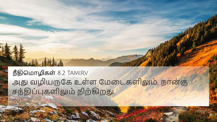 நீதிமொழிகள் 8:2 TAMIRV 4K Wallpaper - அது வழியருகே உள்ள - 4K Wallpaper Bible Verse