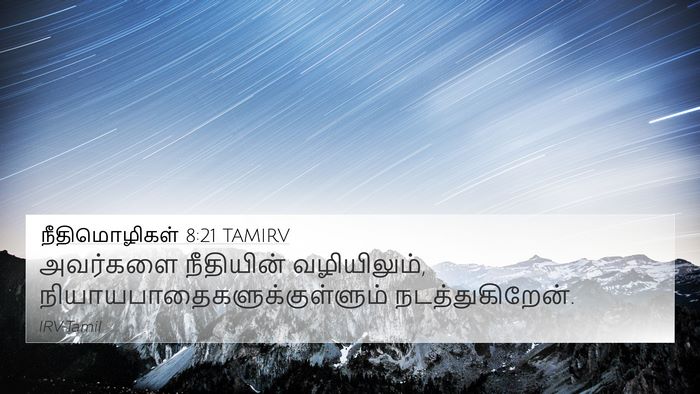 நீதிமொழிகள் 8:21 TAMIRV Bible Verse Image