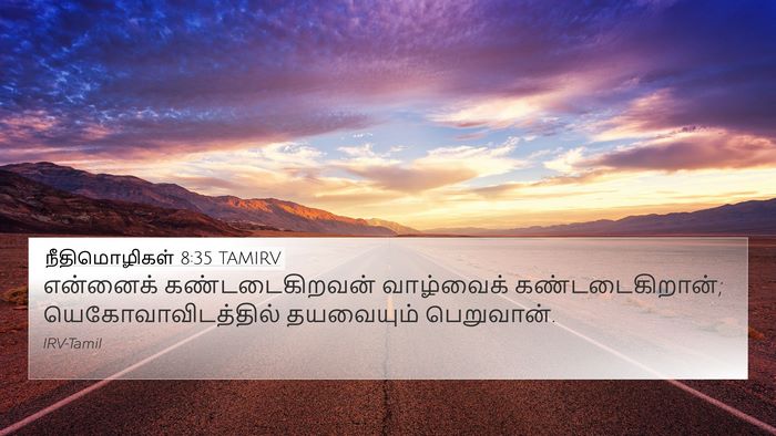 நீதிமொழிகள் 8:35 TAMIRV Bible Verse Image