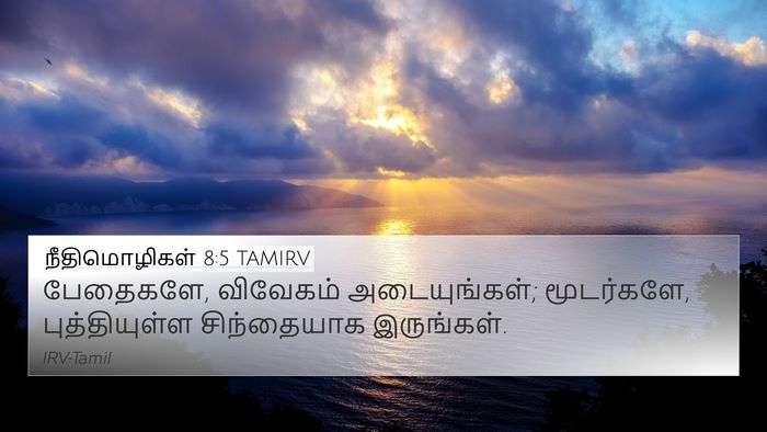 நீதிமொழிகள் 8:5 TAMIRV Bible Verse Image