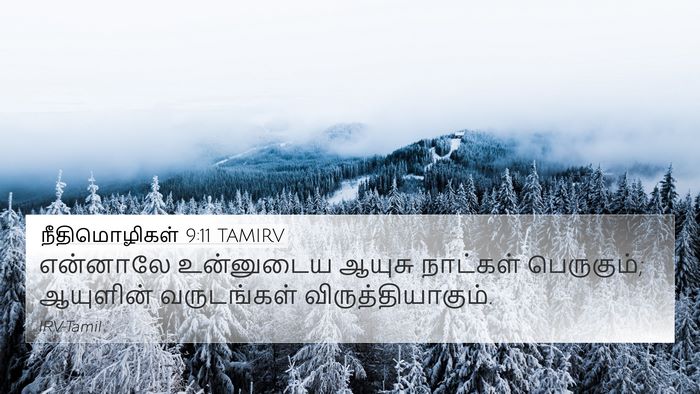நீதிமொழிகள் 9:11 TAMIRV Bible Verse Image