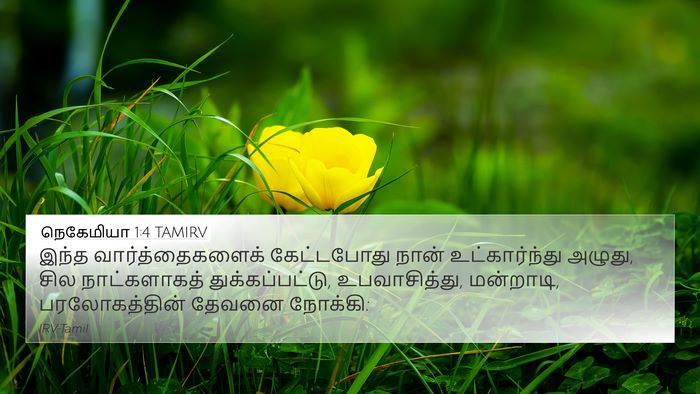 நெகேமியா 1:4 TAMIRV Bible Verse Image