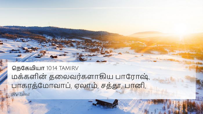 நெகேமியா 10:14 TAMIRV Bible Verse Image