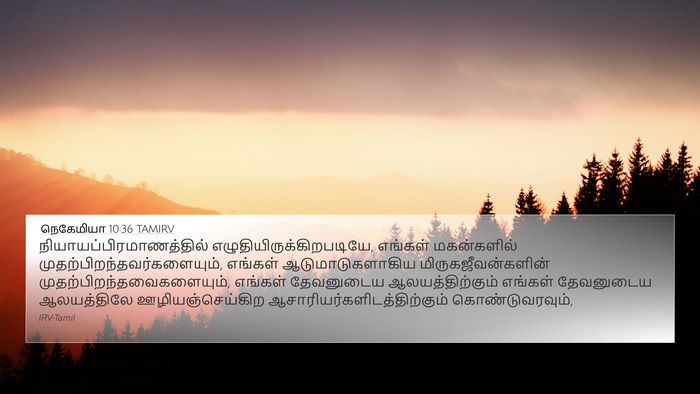 நெகேமியா 10:36 TAMIRV 4K Wallpaper -  - 4K Wallpaper Bible Verse