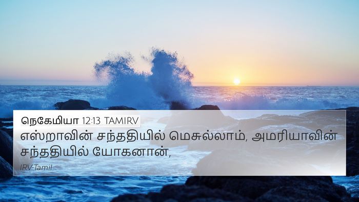 நெகேமியா 12:13 TAMIRV Bible Verse Image