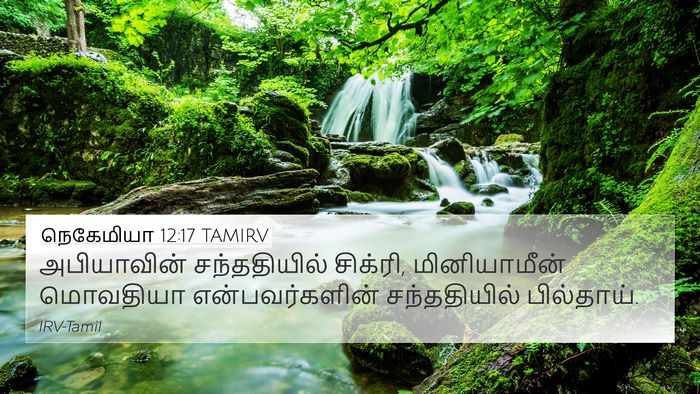 நெகேமியா 12:17 TAMIRV Bible Verse Image