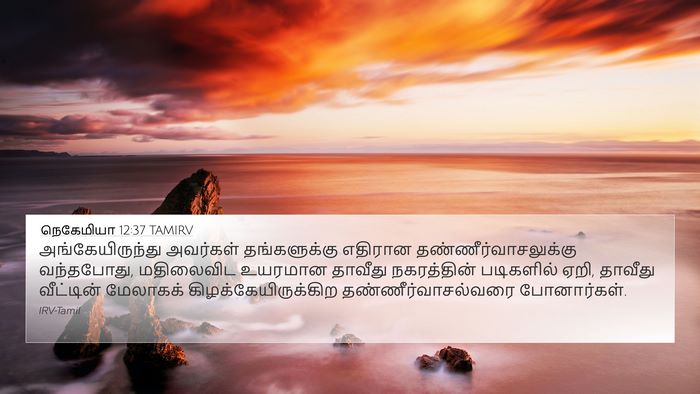 நெகேமியா 12:37 TAMIRV Bible Verse Image