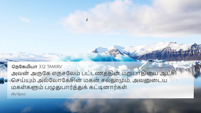 நெகேமியா 3:12 TAMIRV Bible Verse Image