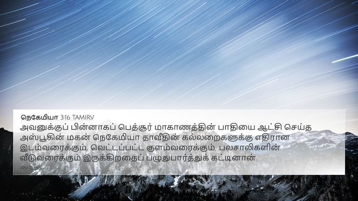 நெகேமியா 3:16 TAMIRV 4K Wallpaper - அவனுக்குப் - 4K Wallpaper Bible Verse
