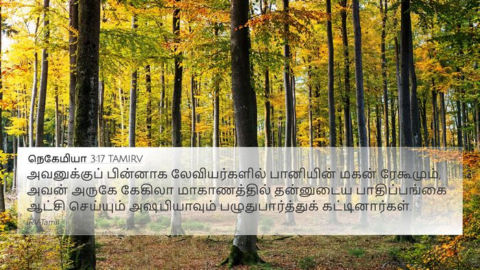 நெகேமியா 3:17 TAMIRV Bible Verse Image