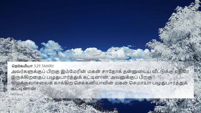 நெகேமியா 3:29 TAMIRV Bible Verse Image