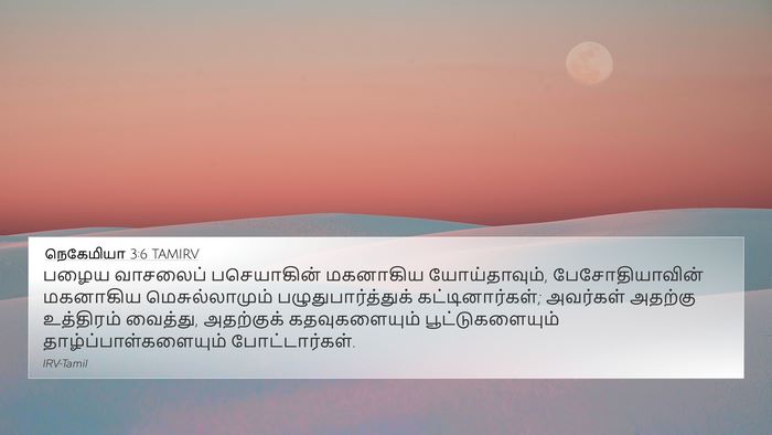 நெகேமியா 3:6 TAMIRV Bible Verse Image