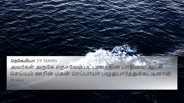 நெகேமியா 3:9 TAMIRV Bible Verse Image