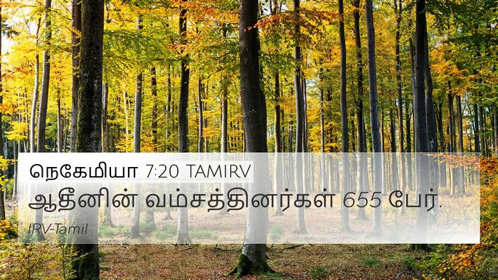 நெகேமியா 7:20 TAMIRV 4K Wallpaper - ஆதீனின் - 4K Wallpaper Bible Verse