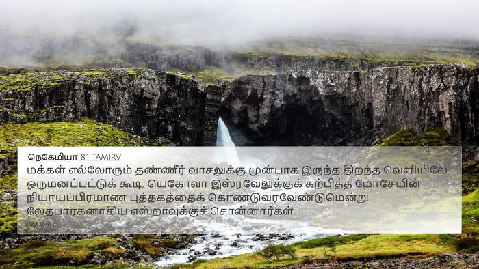 நெகேமியா 8:1 TAMIRV Bible Verse Image