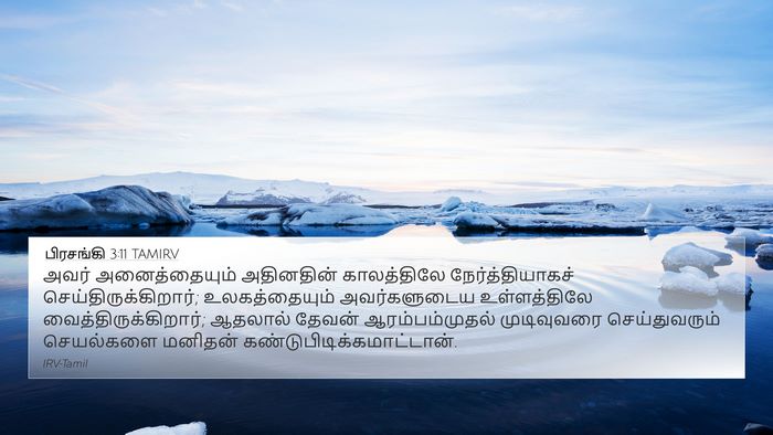 பிரசங்கி 3:11 TAMIRV Bible Verse Image