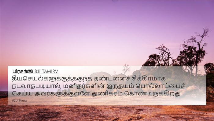 பிரசங்கி 8:11 TAMIRV Bible Verse Image