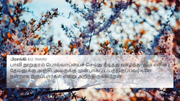 பிரசங்கி 8:12 TAMIRV Bible Verse Image