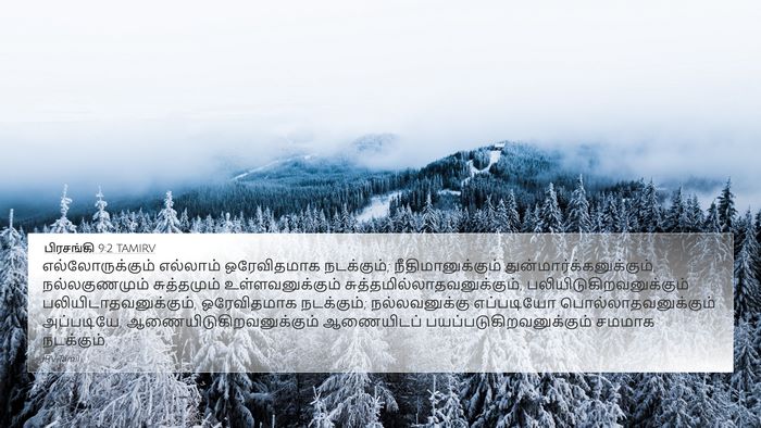 பிரசங்கி 9:2 TAMIRV Bible Verse Image