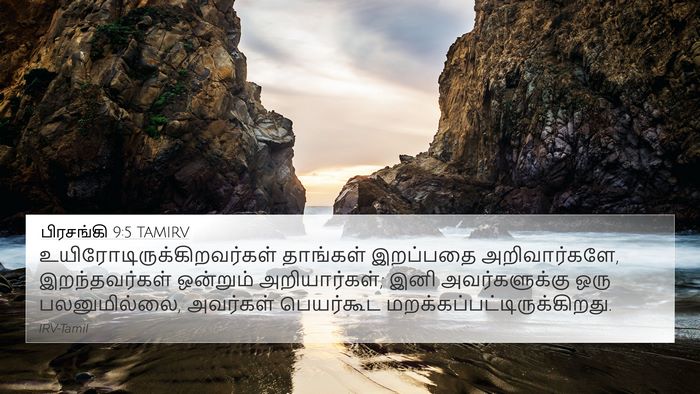 பிரசங்கி 9:5 TAMIRV Bible Verse Image
