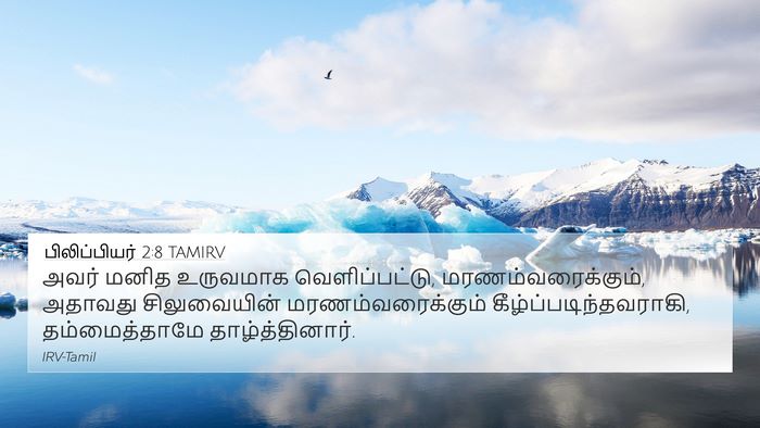 பிலிப்பியர் 2:8 TAMIRV Bible Verse Image