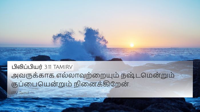 பிலிப்பியர் 3:11 TAMIRV Bible Verse Image