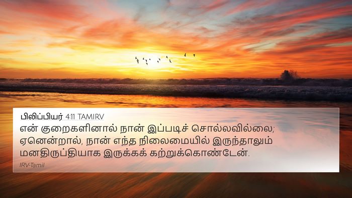 பிலிப்பியர் 4:11 TAMIRV Bible Verse Image