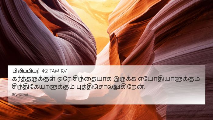 பிலிப்பியர் 4:2 TAMIRV Bible Verse Image