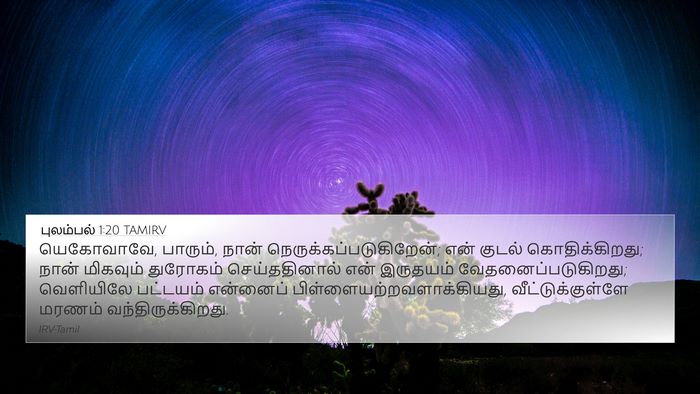 புலம்பல் 1:20 TAMIRV Bible Verse Image