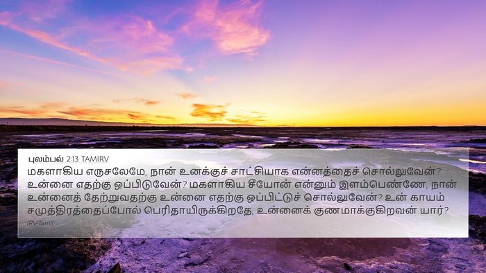 புலம்பல் 2:13 TAMIRV Bible Verse Image
